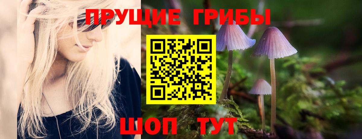Псилоцибиновые грибы прущие грибы Жуковский